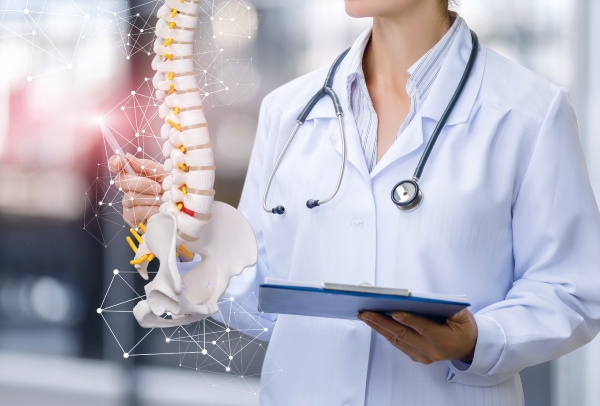 Servizi di Fisioterapia